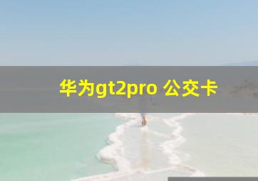 华为gt2pro 公交卡